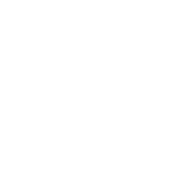 MrBigCat