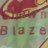 Shawn Blaze