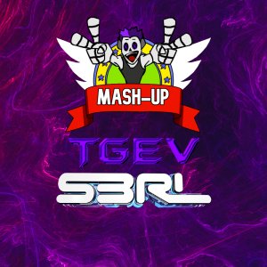 S3RL VIBE MASH UP (TGEV Remix)